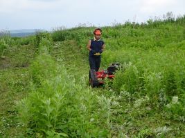 下草刈り機械による森林整備