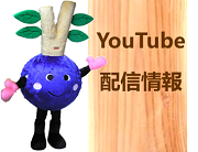 YouTube配信情報(小) (PNG 37.7KB)