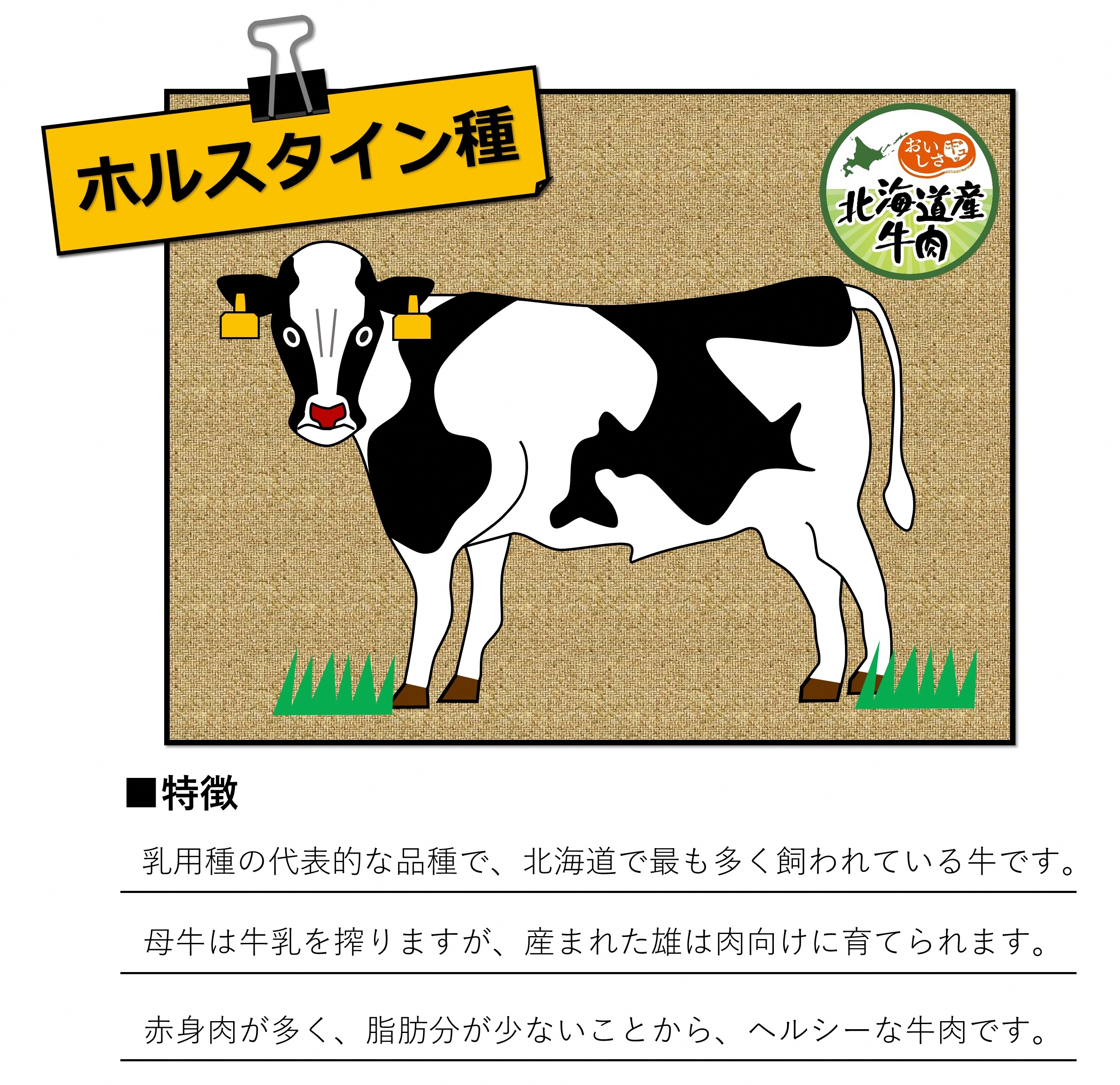 Holsteinnotokucho.jpg