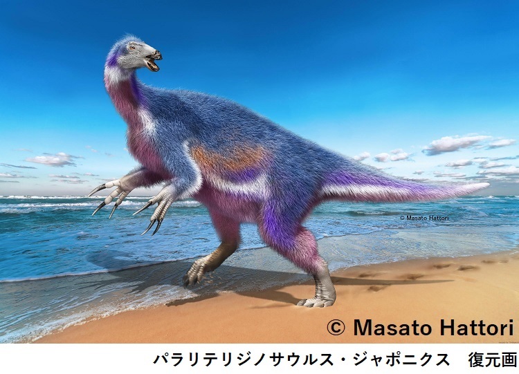 パラリテリジノサウルス・ジャポニクス復元画・(C)服部雅人