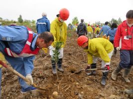 道民や企業等による植樹活動