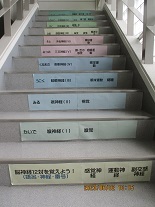 IMG_2991.jpg