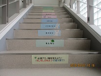 IMG_2993.jpg