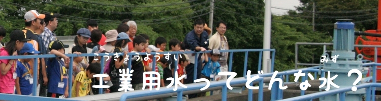 top1 (JPG 152KB)