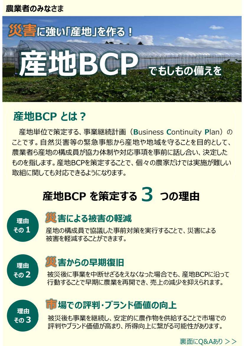 野菜園芸大百科　第2版　第23巻　施設・資材・産地形成事例 野菜園芸学 第2版 | 金山 喜則 |本 | 通販 | Amazon