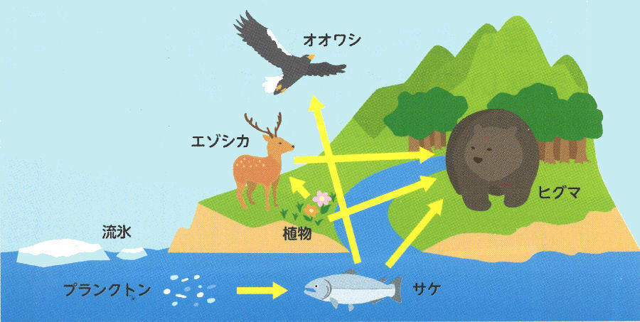 食物連鎖