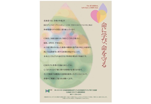 北海道CDRモデル事業 - 保健福祉部子ども政策局