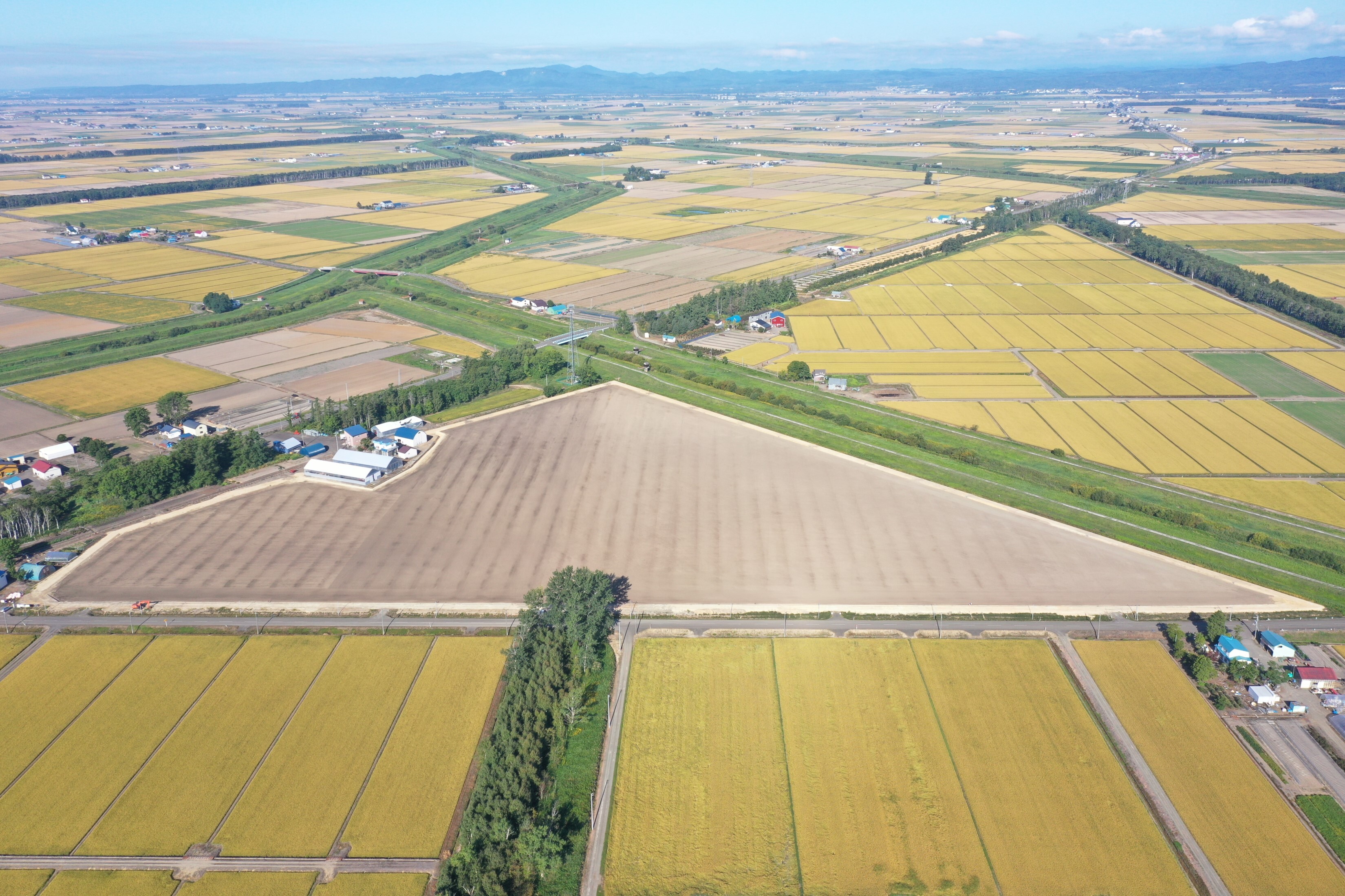 DJI_0335.jpg
