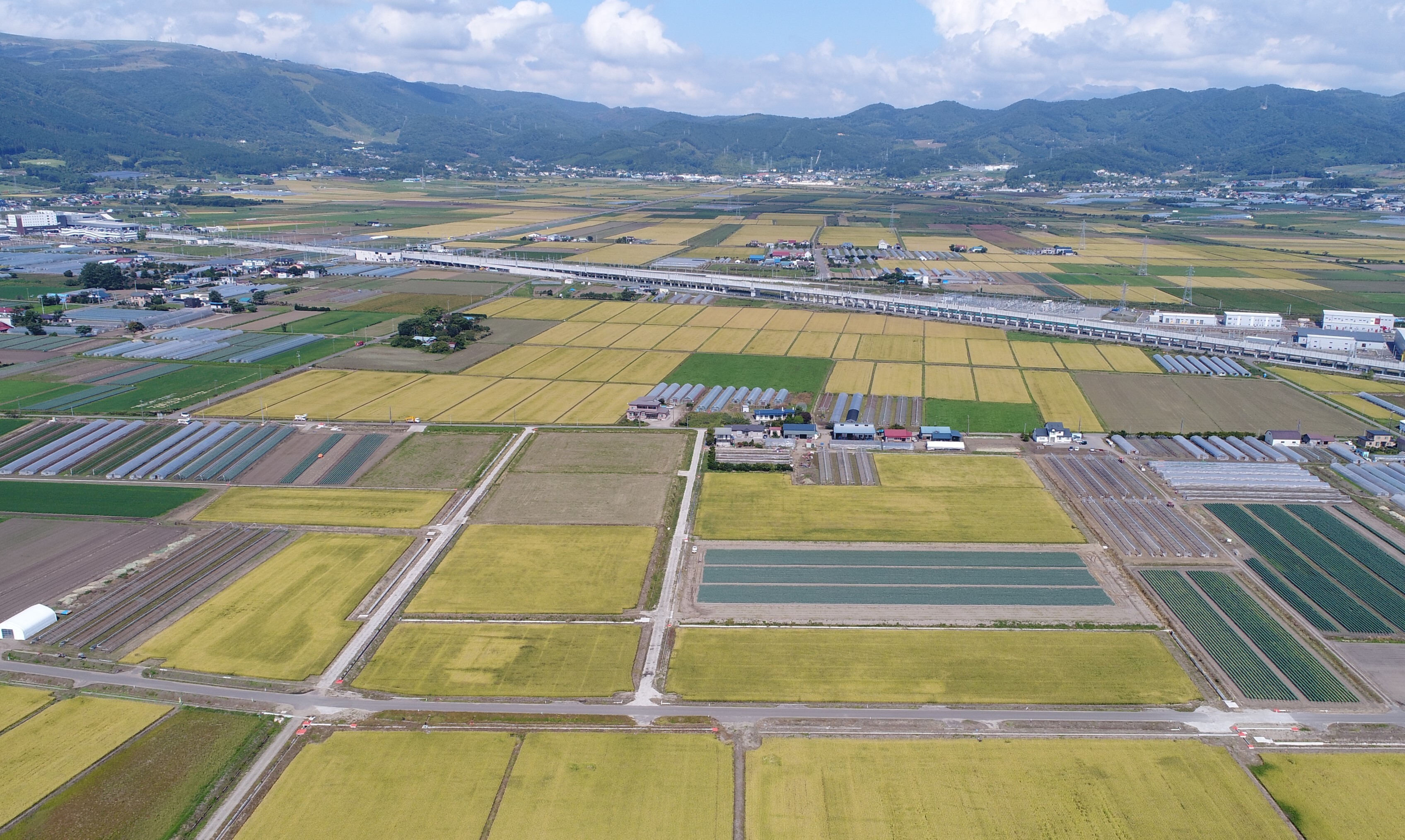 事業実施後の航空写真