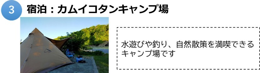 大樹3.jpg