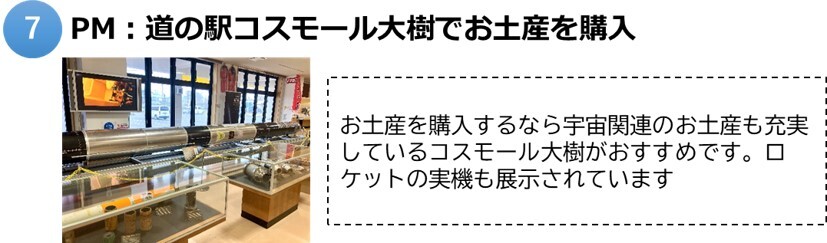 大樹7.jpg