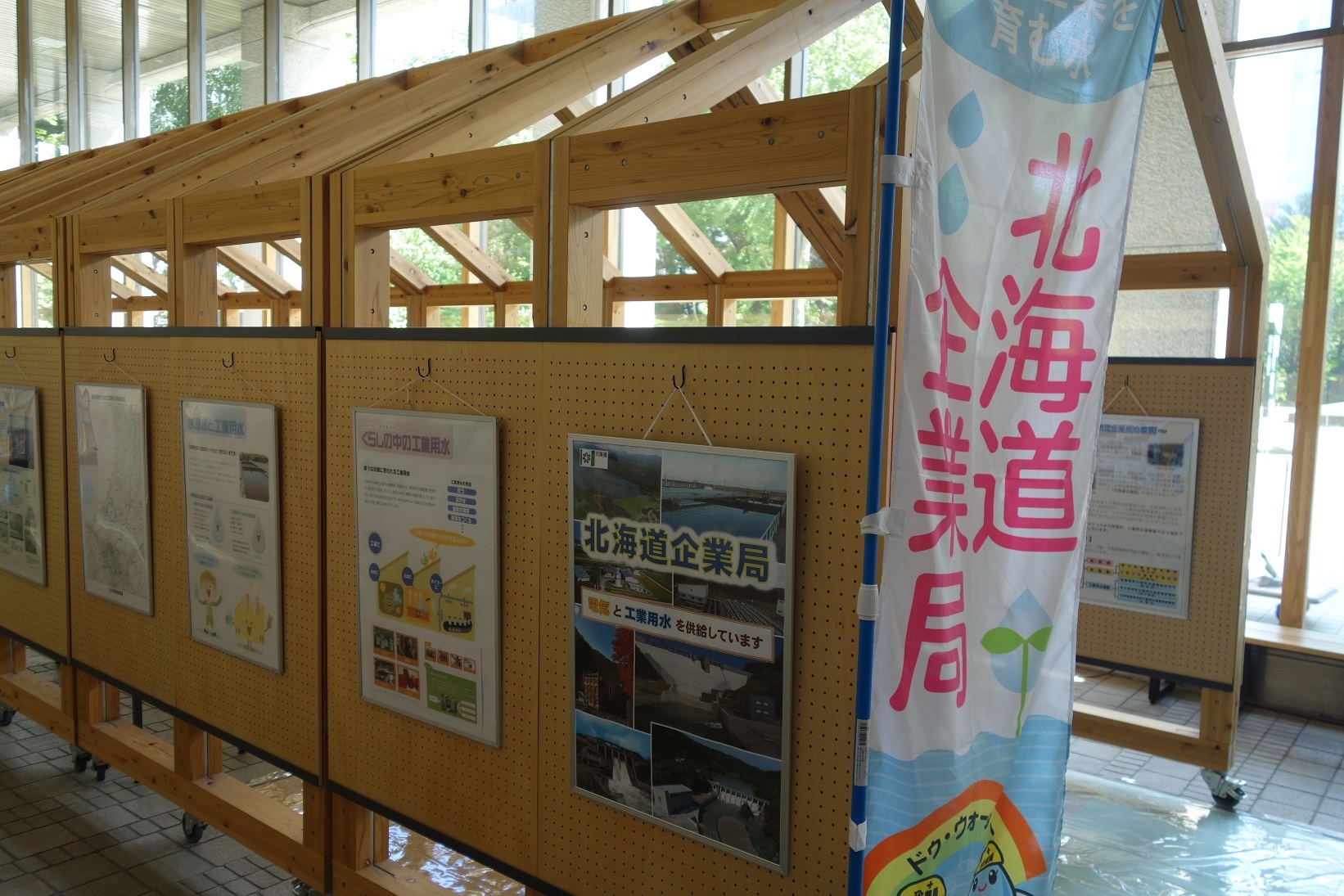 DSC07299.jpg