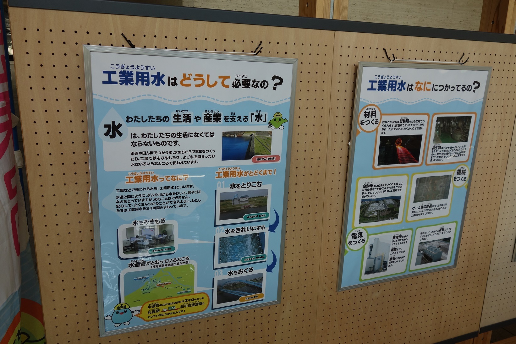 DSC07277.jpg