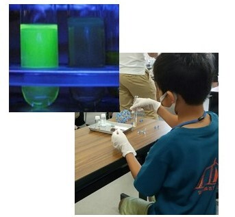 【触媒学会】画像 (JPG 48.8KB)
