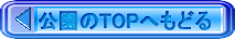 image2a.gif