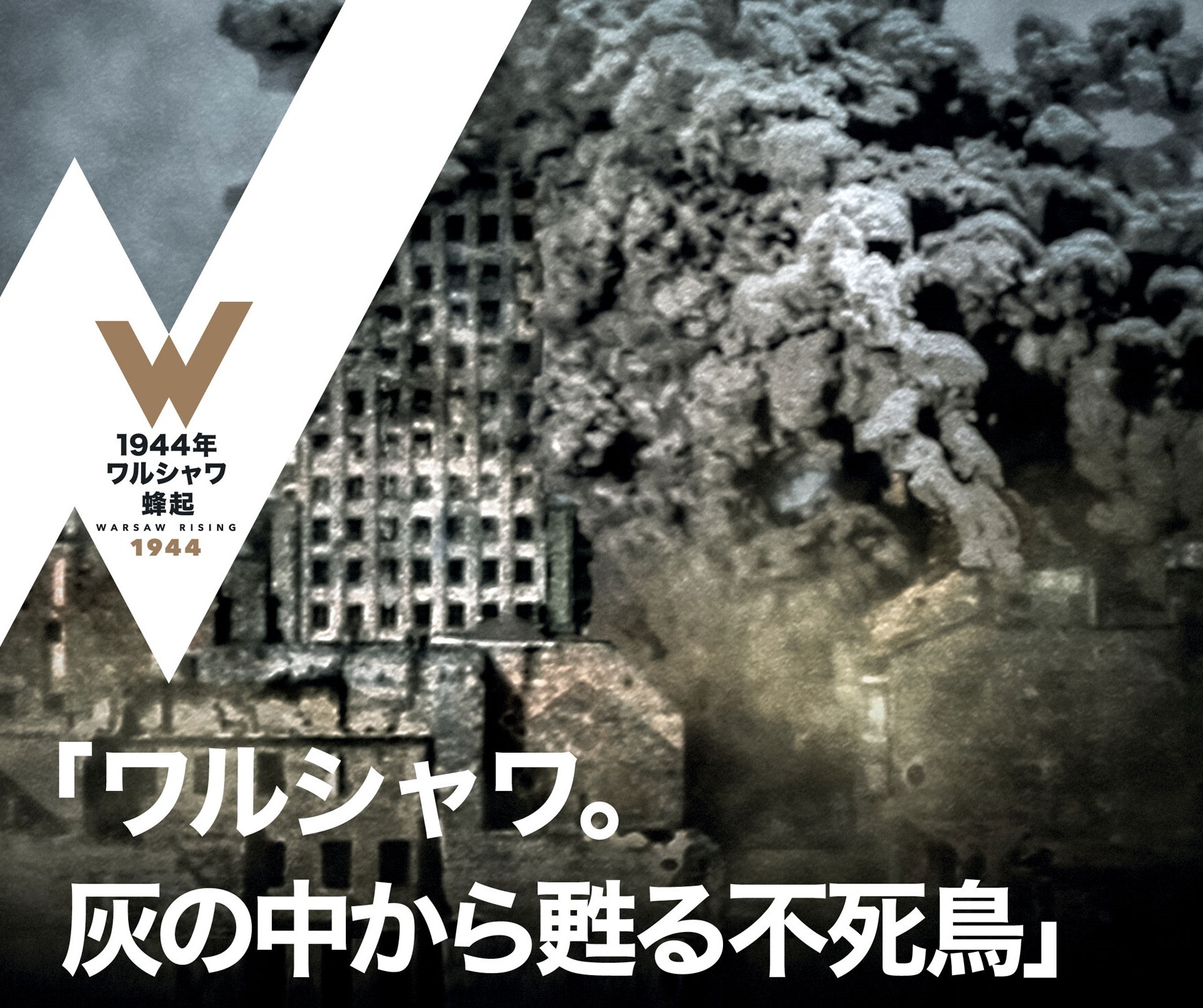 展覧会画像