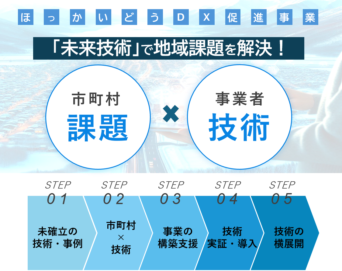 令和6年度 ほっかいどうDX促進事業 - 経済部AI・DX推進局