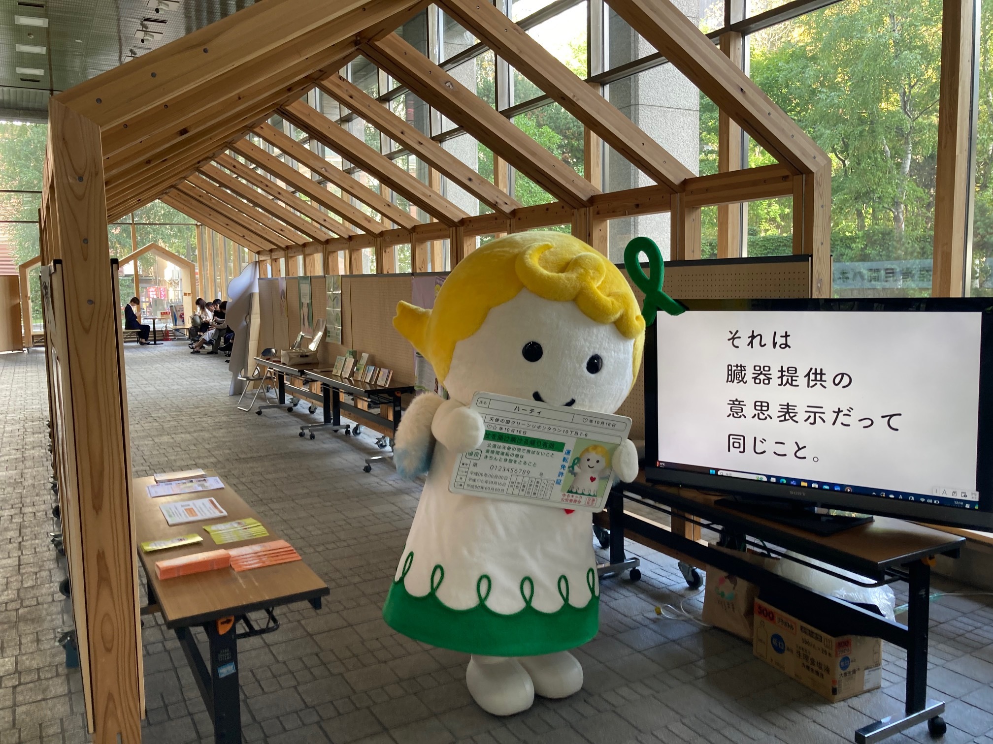 IMG_3340 (JPG 841KB)