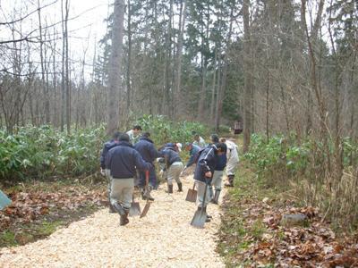 image_017ikomagumi_mihonrin2.jpg