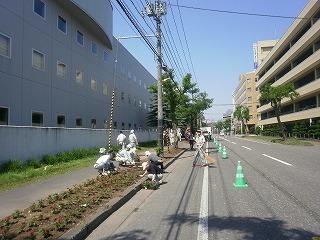 image_034nekusasu_hana1.jpg