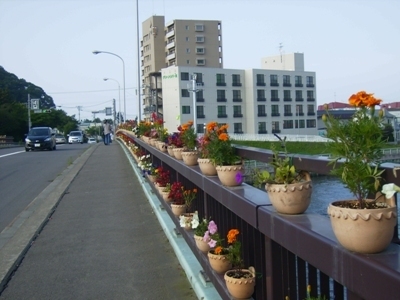 image_019minami_hana1.jpg