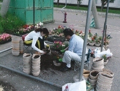 image_019minami_hana2.jpg