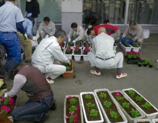 image_50tanigumi_hanaue.jpg
