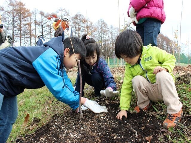 image_61teduka_shokuju.jpg