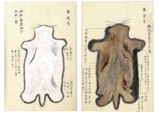 18_rakkokegawa.jpg