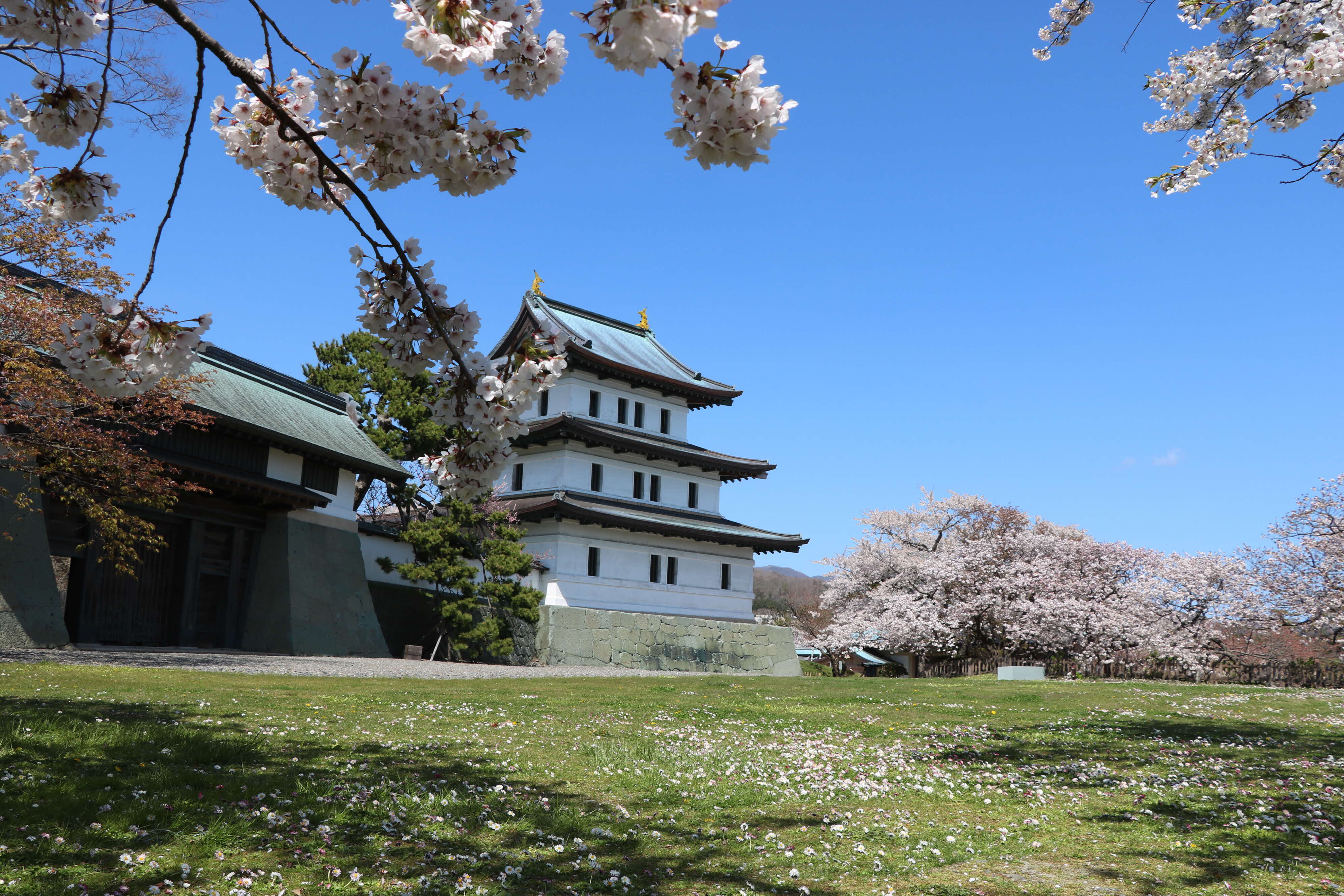 松前城.JPG