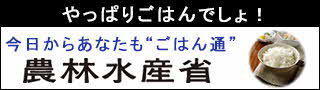 やっぱりごはんでしょ