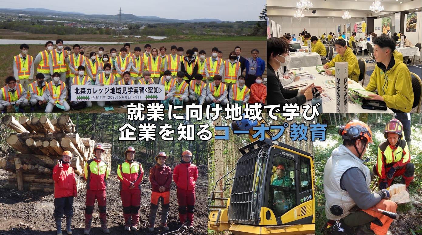 イメージ（コーオプ教育）