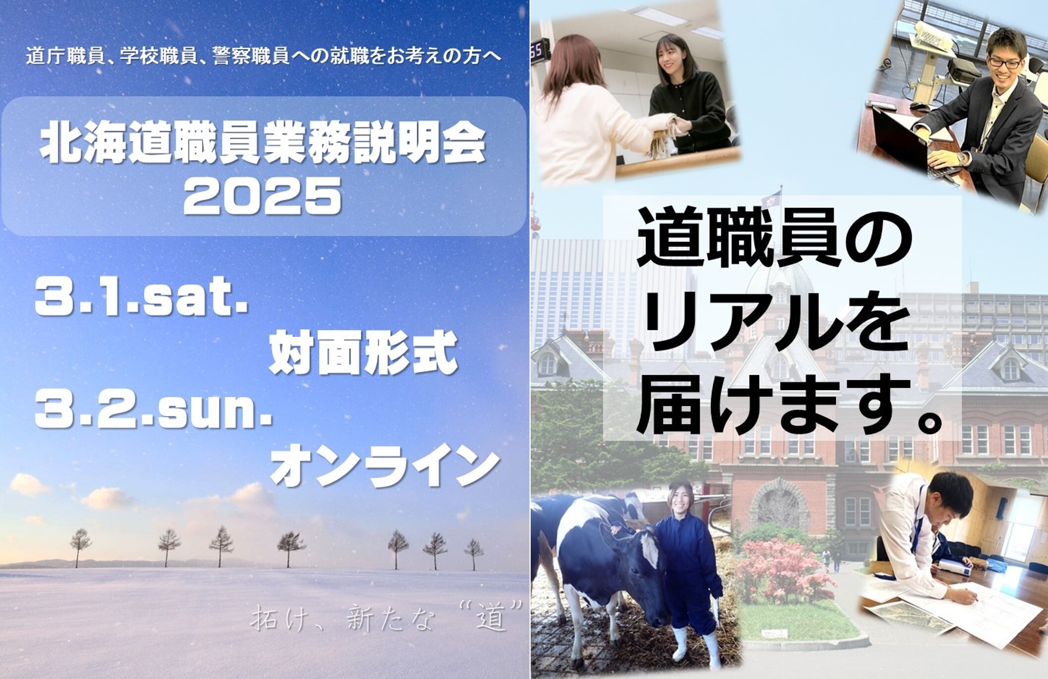 HP用.jpg