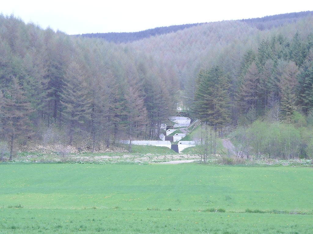 陸別町（弥生町有林の沢）