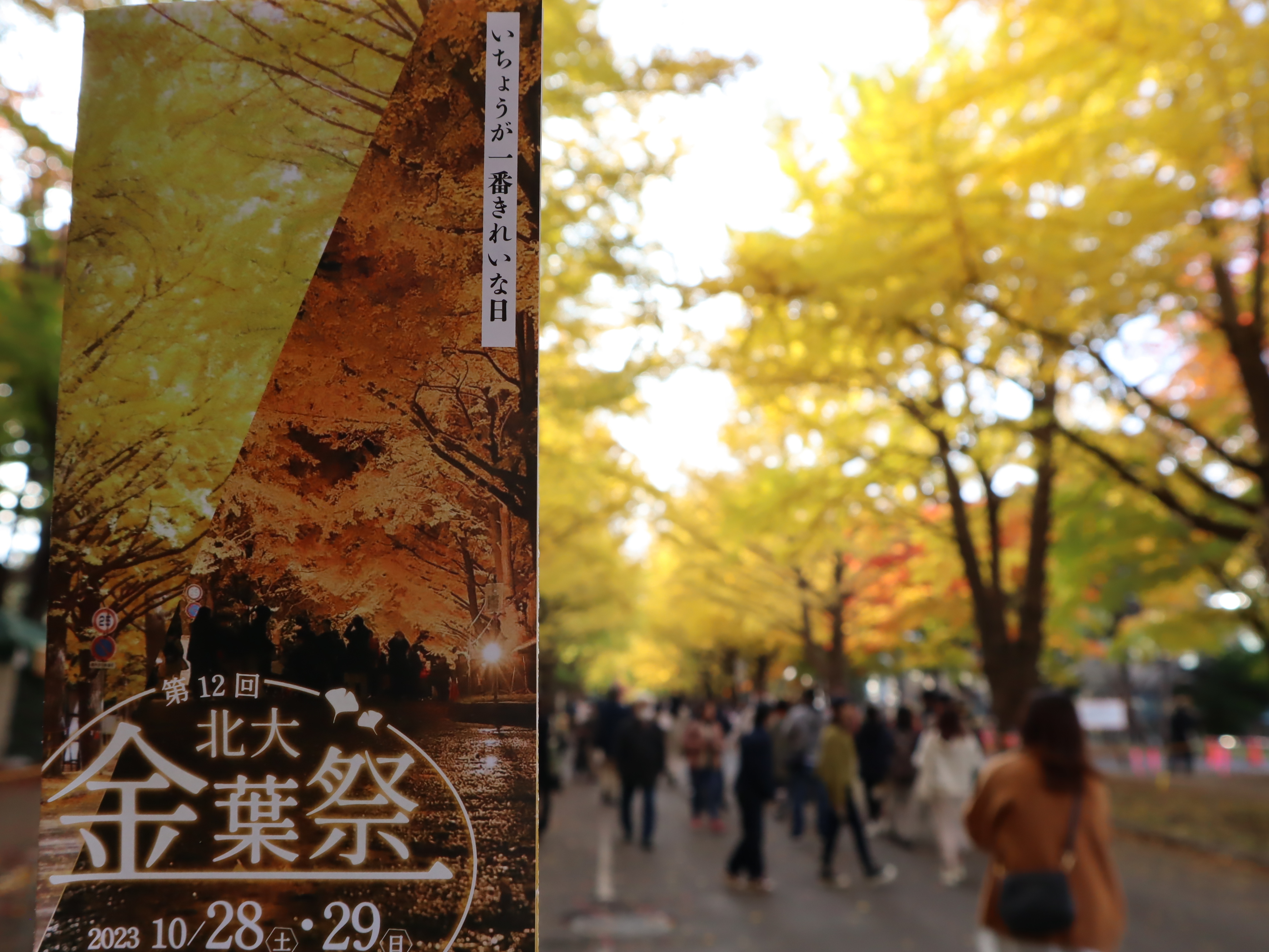 2023札幌2-1
