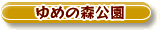 t_s_06.gif