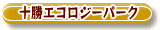 t_s_08.gif