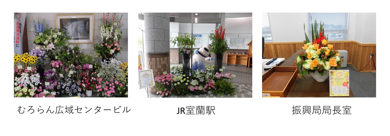 胆振の取組