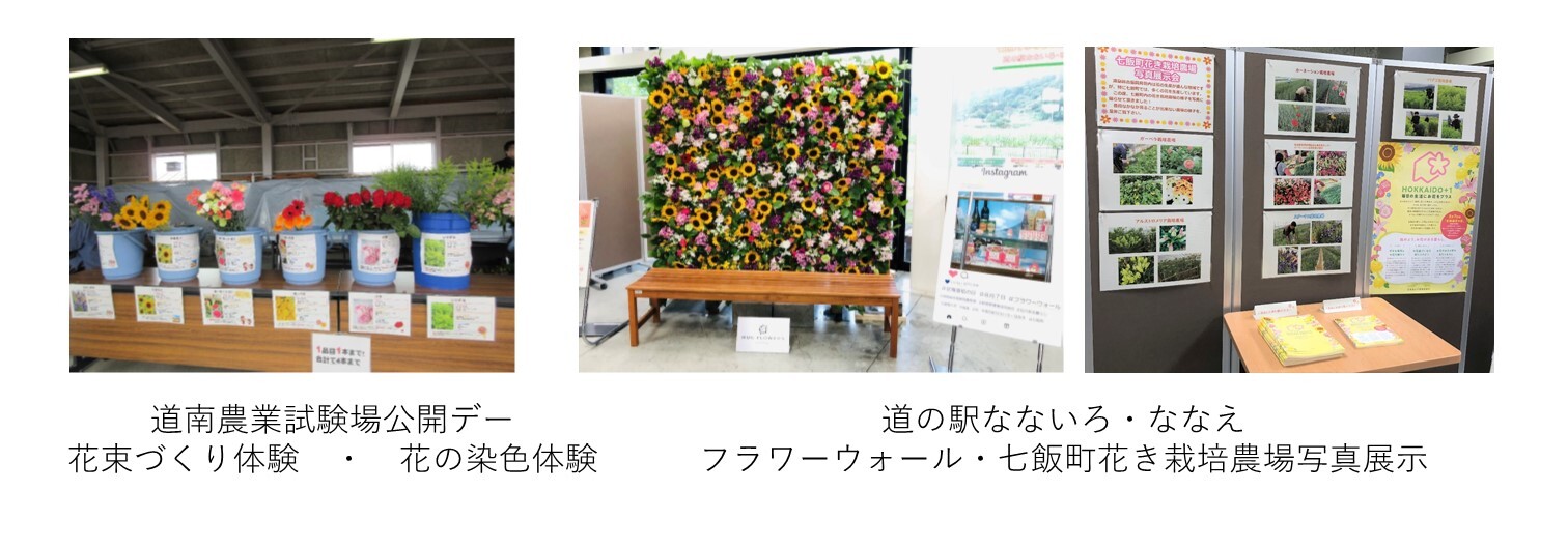 渡島の取組