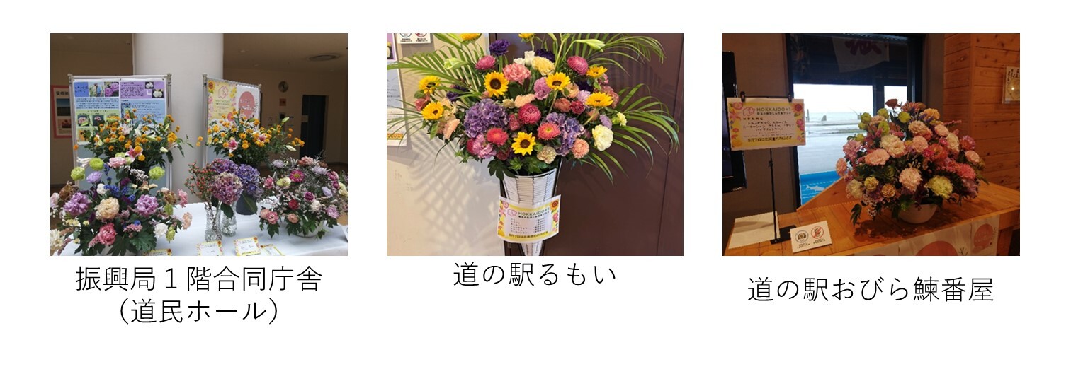 留萌の取組