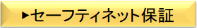 セーフティネット.png