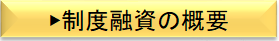 制度融資の概要.png