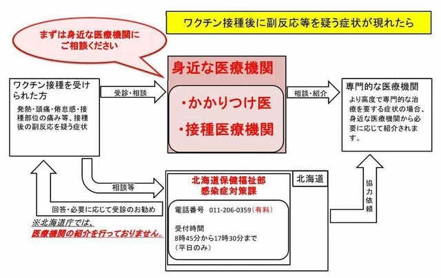 副反応フロー図.jpg