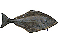 map050.jpg