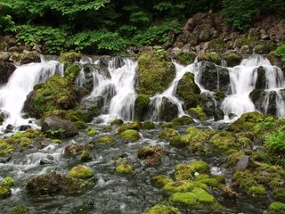 京極町ふきだし公園
