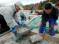 阿寒湖漁協