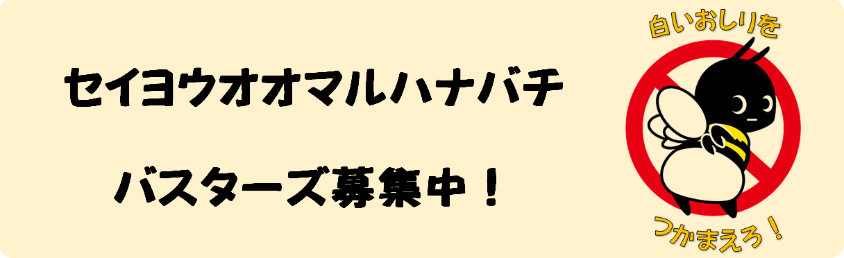 ○ セイヨウオオマルハナバチバスターズ募集中