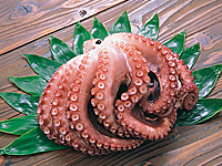 戸井漁協