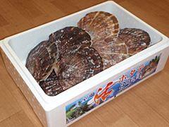 室蘭漁協