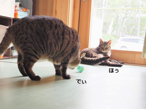 250515 (ほぅ).png